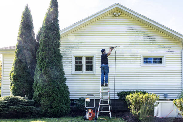 Best Window and Screen Pressure Cleaning in Prospect, OH